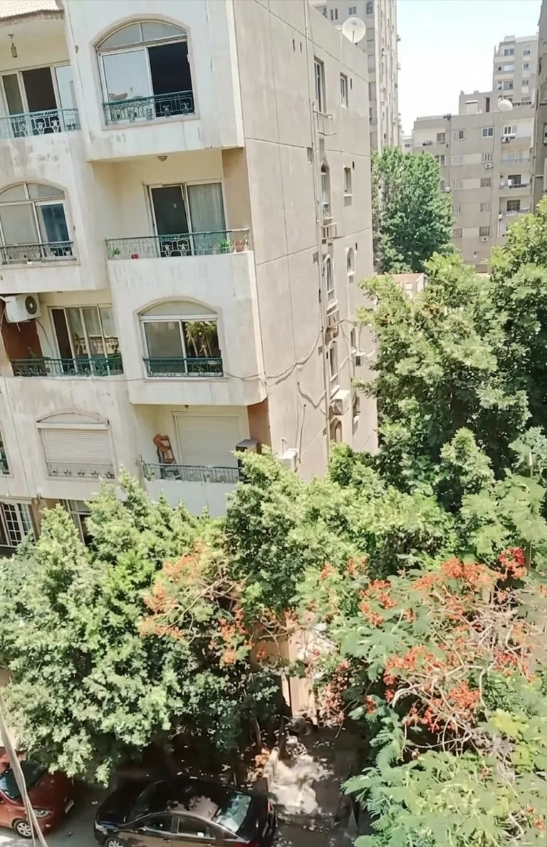 شقة دور رابع للبيع بالمعادي شارع الصفاء متفرع من شارع الجزائر